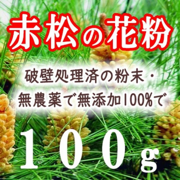 新入荷！破壁松花粉 赤松花粉 松の花粉 松花粉 100g 松の葉茶 松葉ジュース