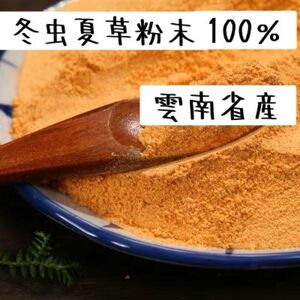 雲南省産冬虫夏草粉末100g とうちゅうかそう100％ 無添加原料そのまま 冬虫夏草