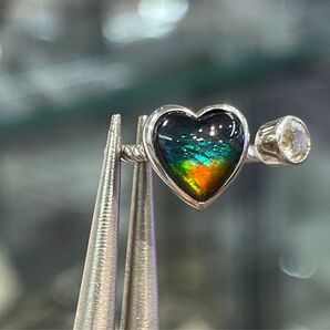 厳選 希少高品質アンモライト指輪 4色入り カナダ産 シルバー925