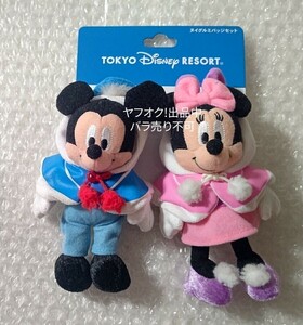 TDR Disney Mickey minnie nigrumi badge set ... Donald daisy costume 