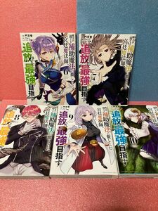 味方が弱すぎて補助魔法に徹していた宮廷魔法師、追放されて最強を目指す