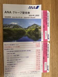 ANA 全日空 株主 株主優待 2枚