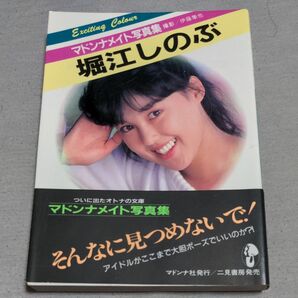 レア商品！ 堀江しのぶ　マドンナメイト　写真集　文庫本