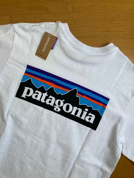patagonia P-6 半袖 Tシャツ