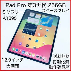 即配【美品】SIMフリー Apple iPad Pro 第3世代 256GB 12.9インチ A1895 FTJ62J/A スペースグレイ Cellularモデル 動作確認済 送料無料