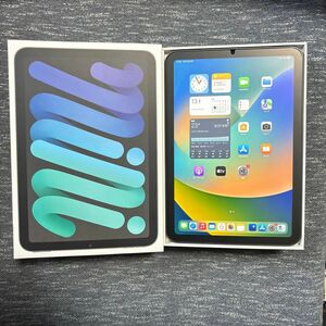 Apple iPad mini6 64GB Wi-Fiモデル