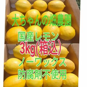 国産レモン！新鮮【4/中旬収穫】皮ごと使える国産ユーレカレモン3㎏(箱込) 産地直送