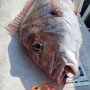 タングステン タイラバ タイラバヘッド 鯛ラバジグ 60g3個セット (オレキン2、アカキン1) 送料無料の画像6