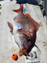 タングステン　タイラバ　タイラバヘッド　鯛ラバジグ　オレンジ　60g3個　送料無料　_画像8