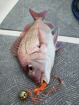 タングステン　タイラバ　タイラバヘッド　鯛ラバジグ　オレンジ　60g3個　送料無料　_画像10