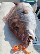 タングステン　タイラバ　タイラバヘッド　鯛ラバジグ　オレンジ　60g3個　送料無料　_画像5