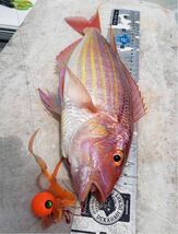 タングステン　タイラバ　タイラバヘッド　鯛ラバジグ　オレンジ　60g3個　送料無料　_画像6