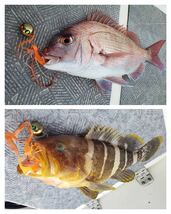 タングステン　タイラバ　タイラバヘッド　鯛ラバジグ　60g 3個セット　(オレンジ2、ワインレッド1) 送料無料_画像10