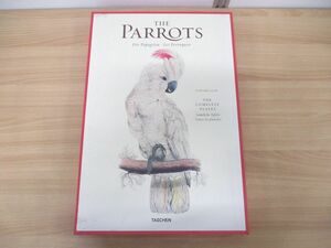 ■01)【同梱不可】The Parrots/Die Papagein-Les Perroquets 1830-1832/Edward Lear/Taschen/洋書/オウム/エドワード・リア/画集/絵画/A