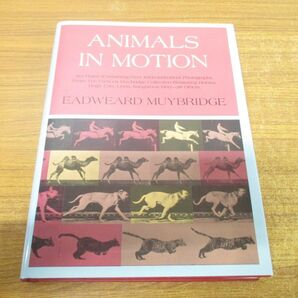 ▲01)【同梱不可】Animals in Motion/Dover Anatomy for Artists/Eadweard Muybridge/Dover Publications/1957年/洋書/動物/解剖学/Aの画像1