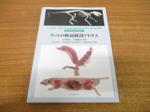 ▲01)【同梱不可】ラットの断面解剖アトラス/AColorAtlasofSectinalAnatomyoftheRat/早川敏之/岩城隆昌/アドスリー/丸善/2008年発行/A