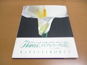 ▲01)【同梱不可】Flowers/メイプルソープの花/パティ・スミス/高野育郎/JICC出版局/1990年発行/A