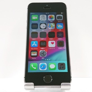 iPhone5s 16GB docomo スペースグレイ 送料無料 即決 本体 c04762