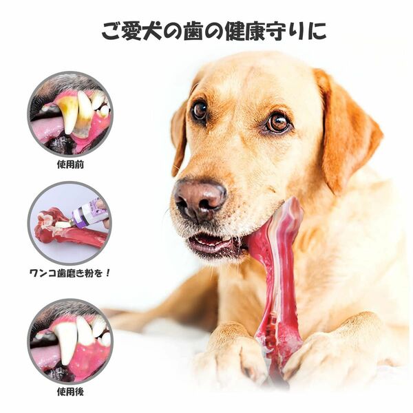 犬用噛むおもちゃ 歯磨き デンタルケア ストレス解消 