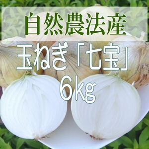 自然農法産 無農薬 玉ねぎ「七宝」６kg P04