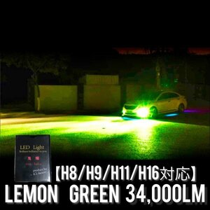 フォグランプ LED H8/H11/H16 グリーン34000LM 光軸調整可