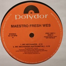 maestro fresh wes/bring it on showbiz remix_画像2