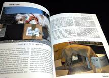 ＜洋書＞探知犬　マニュアル『Detector Dog: Turn your dog's favourite pastime into your favourite hobby and have fun together!』_画像7