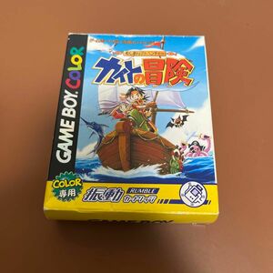 ゲームボーイカラー　ぬし釣りアドベンチャーカイトの冒険