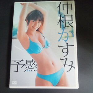 中古DVD LPDD-1005 仲根かすみ 予感 ガイドライン遵守作品 ゆうパケット発送可(同梱は4枚以内のみ対応)