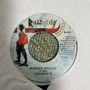 ANTHONY B WEEPING WILLOW HONEY CONE Raggaedy Joe Music REGGAE