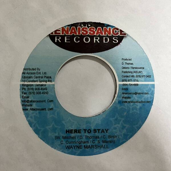 WAYNE MARSHALL HERE TO SAY CEZAR I'M HOOKED REGGAE