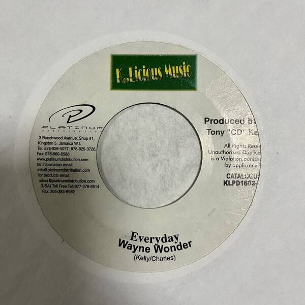 WAYNE WONDER EVERYDAY KYMBERLI YOU WANT ME REGGAE