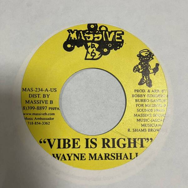WAYNE MARSHALL GREG HINDS VIBE IS RIGHT FA DA GAL DEM REGGAE