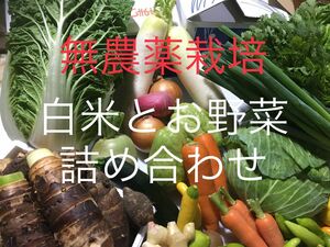 無農薬栽培◎玄米と白米とお野菜詰め合わせ◎新玉ねぎ◎さつまいも◎カラーピーマン◎にんにく◎里芋◎人参◎ヨモギ◎タラの芽◎即発送！