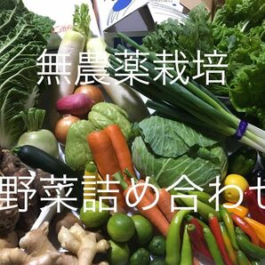 無農薬栽培◎お野菜詰め合わせ◎新玉ねぎ◎大根◎じゃがいも◎さつまいも◎カラーピーマン◎オクラ◎人参◎スイスチャード◎即発送☆