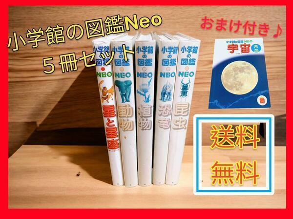 小学館の図鑑Neo ５冊セット（おまけ付き♪）