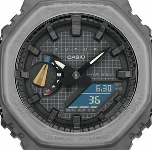 CASIO