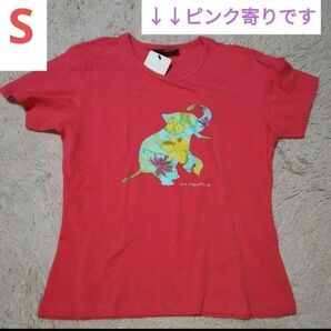 新品未使用 ジムトンプソン ぞうさん 春夏 運動 ランニング ヨガ 伸びる