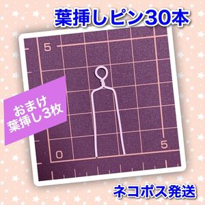 多肉植物 葉挿しピン 30本＋スワロフスキー付きピン3本セット