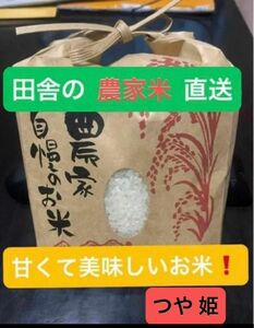 【大好評】　令和5年産　つや姫　　15kg（5キロポリパック3袋）