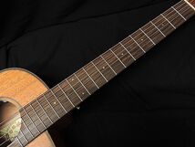 aNueNue Bird Guitar aNN-M20E マホガニー単板トップ アヌエヌエ エレアコ ミニ エレクトリック アコースティックギター_画像2