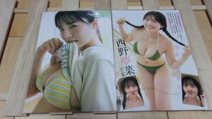 西野夢菜★Fカップ・美少女★彡雑誌切抜B5ラミネート7P★T159★美乳・美脚・美尻《J13》