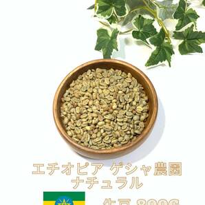 【生豆】エチオピア ゲシャ農園 ナチュラル 800g　 Ethiopia Gesha Farm Natural 800g