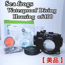 sea frogs a6400 α6400 水中カメラハウジング 防水ダイビングケース WATER PROOF CASE【美品】_画像1