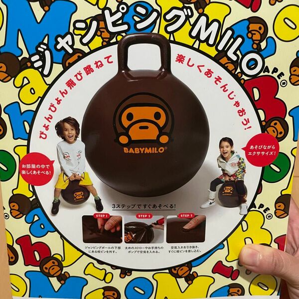 5月限定価格　A BATHING APE MILO ジャンピングボール