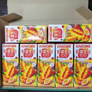  野菜生活100 マンゴーサラダ 200ml 紙パック