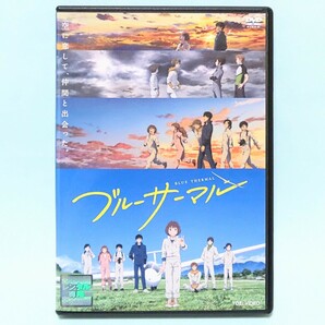 ブルーサーマル レンタル版 DVD アニメ 映画 小沢かな 橘正紀 堀田真由 島﨑信長 榎木淳弥 小松未可子 小野大輔 白石晴香 大地葉 寺田農