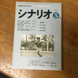 月刊シナリオ　1977年5月号 さらば恋人たち　青年の樹　ドカベン