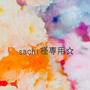 sachi様専用☆ミリオンスターソフトかすみ草☆