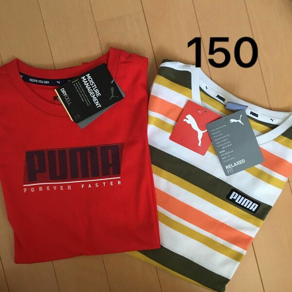 Tシャツ　プーマ　PUMA 150サイズ　２枚セット　 半袖　